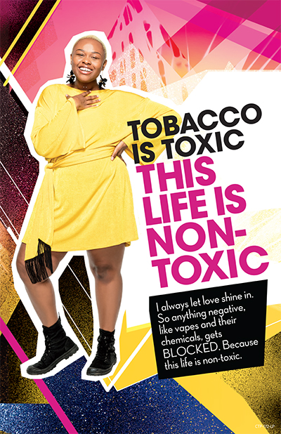 This Life Is Non-Toxic 2 poster