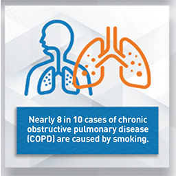 This 8.5” by 14” infographic provides information on the health effects of smoking.