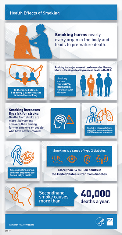 This 8.5" by 14" infographic provides information on the health effects of smoking.